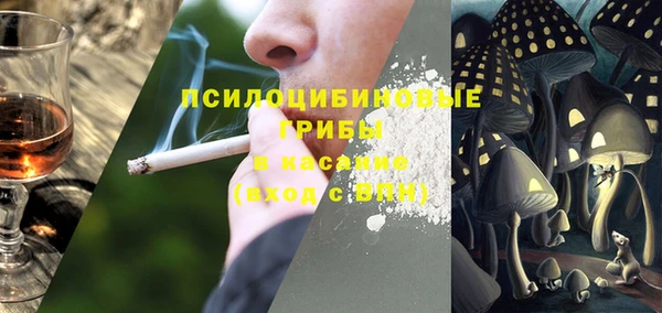 не бодяженный Аркадак